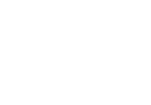 nqsh logo small